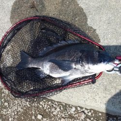 梅雨明け秒読み